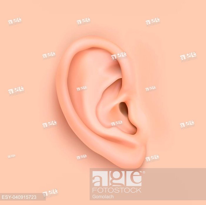 Vector Background With Realistic Human Ear Closeup Design 701x700 Vector Background With Realistic Human Ear Closeup Design