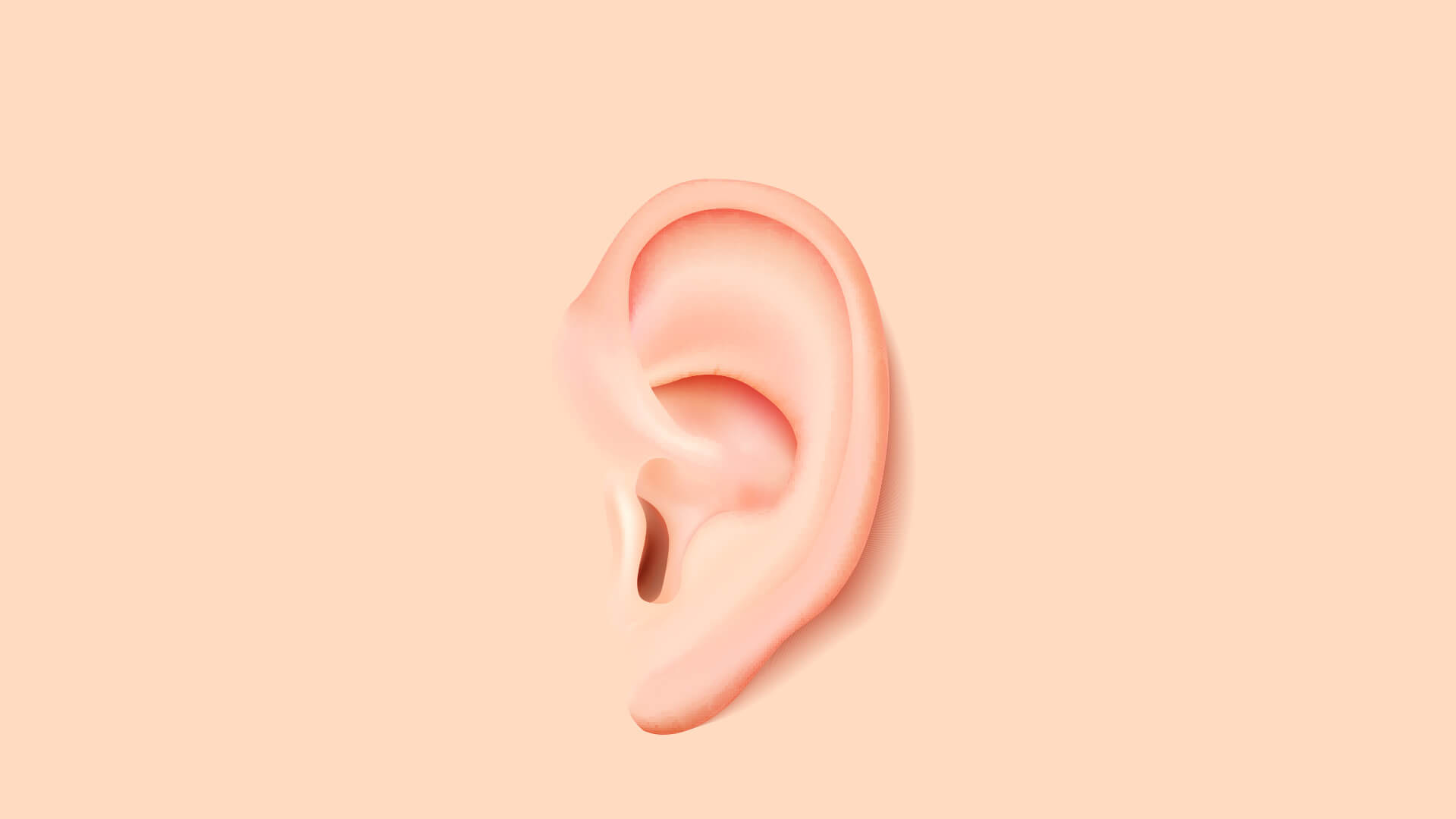 Vector Human Ear Photorealistic 1920x1080 Vector Human Ear Photorealistic