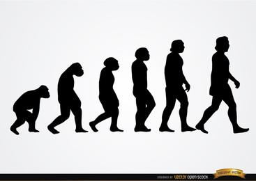367x260 Human Evolution Vector Graphics To Download