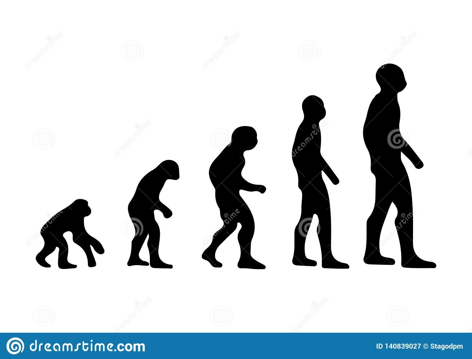 Human Evolution Vector at Collection of Human