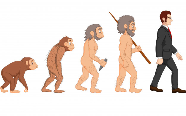 626x392 Cartoon Human Evolution Vector Premium Download