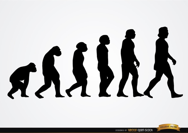 640x453 Free Vectors Human Evolution Silhouettes Vector Open Stock