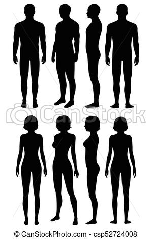 299x470 Collection Of 'human Body Silhouette Vector' Download More Than