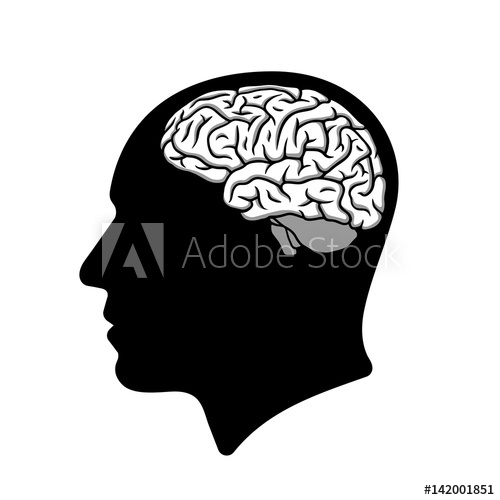 500x500 Human Head Silhouette With Brain Illustration