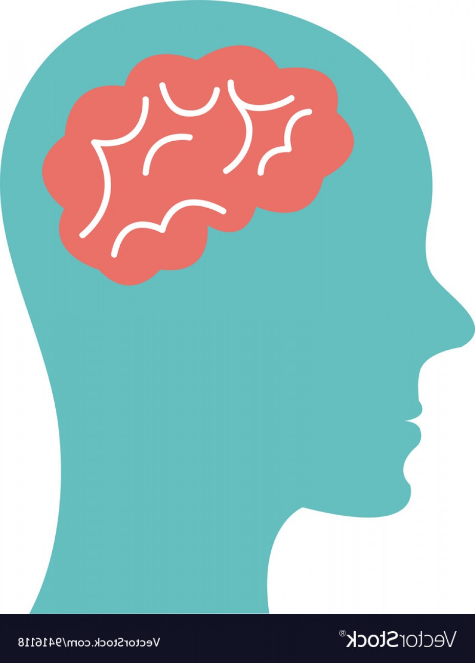 928x1296 Side Head Vector Lamaison