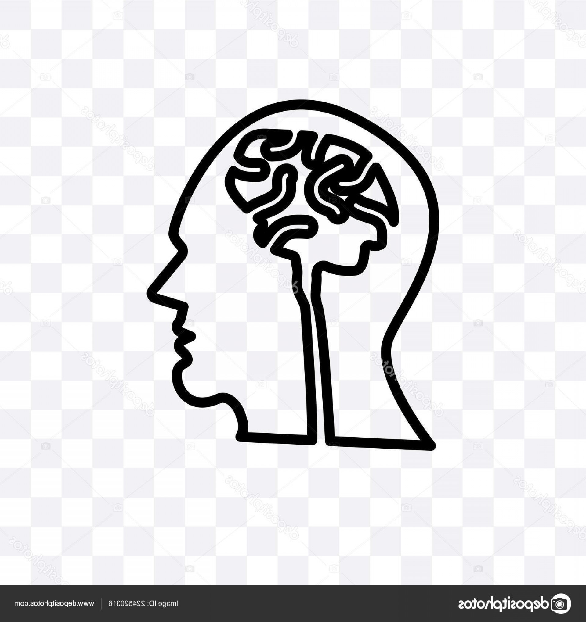 1920x2040 Vector Head And Brain Geekchicpro