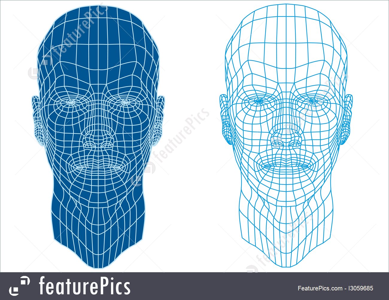 1300x1001 Human Body Parts Mesh Head, Vector