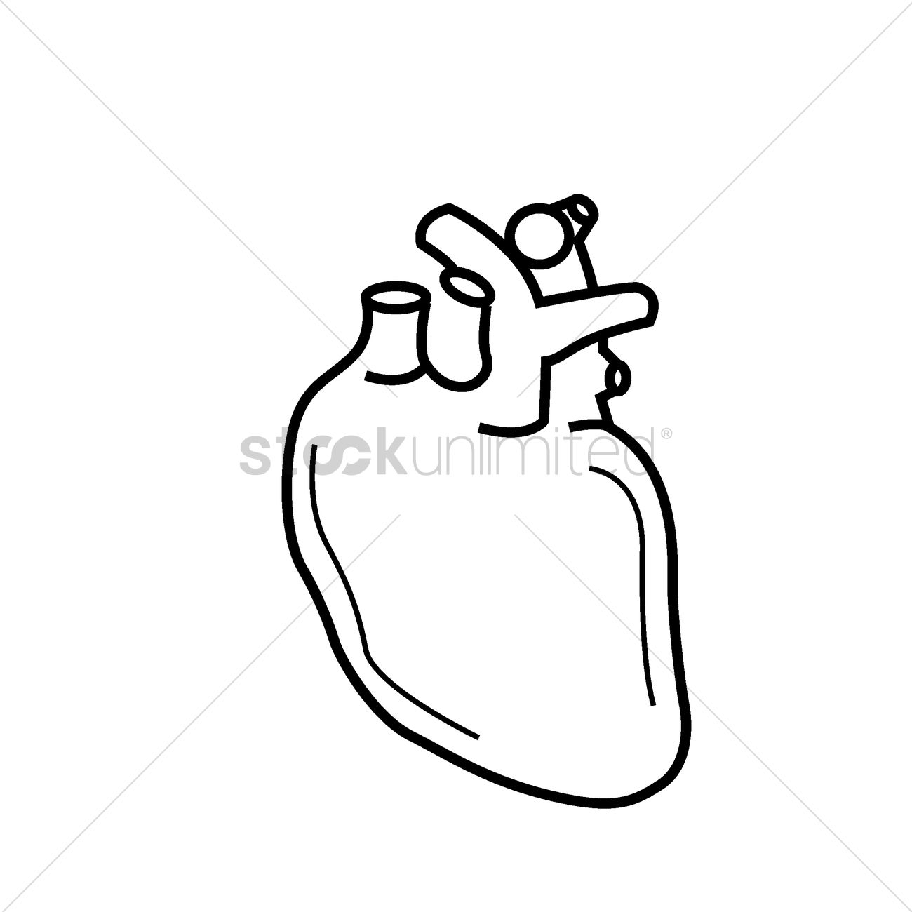 1300x1300 Human Heart Vector Image