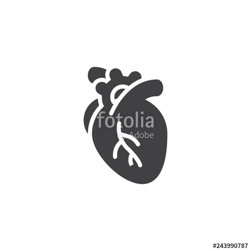 500x500 Human Heart Vector Icon Filled Flat Sign For Mobile Concept