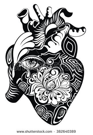 324x470 Human Heart Vector Illustration