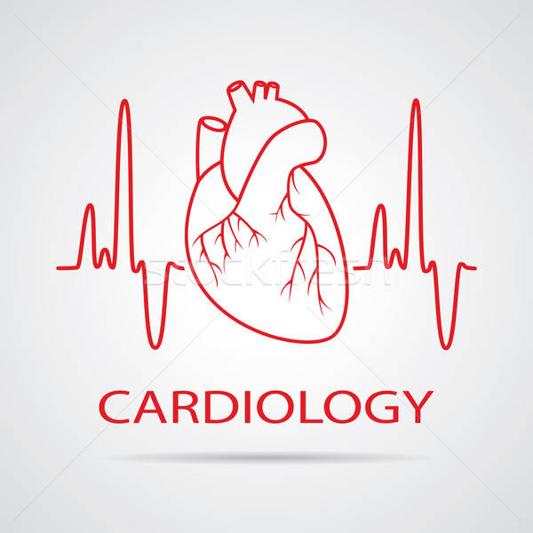 600x600 Vector Human Heart Medical Symbol Of Cardiology Vector