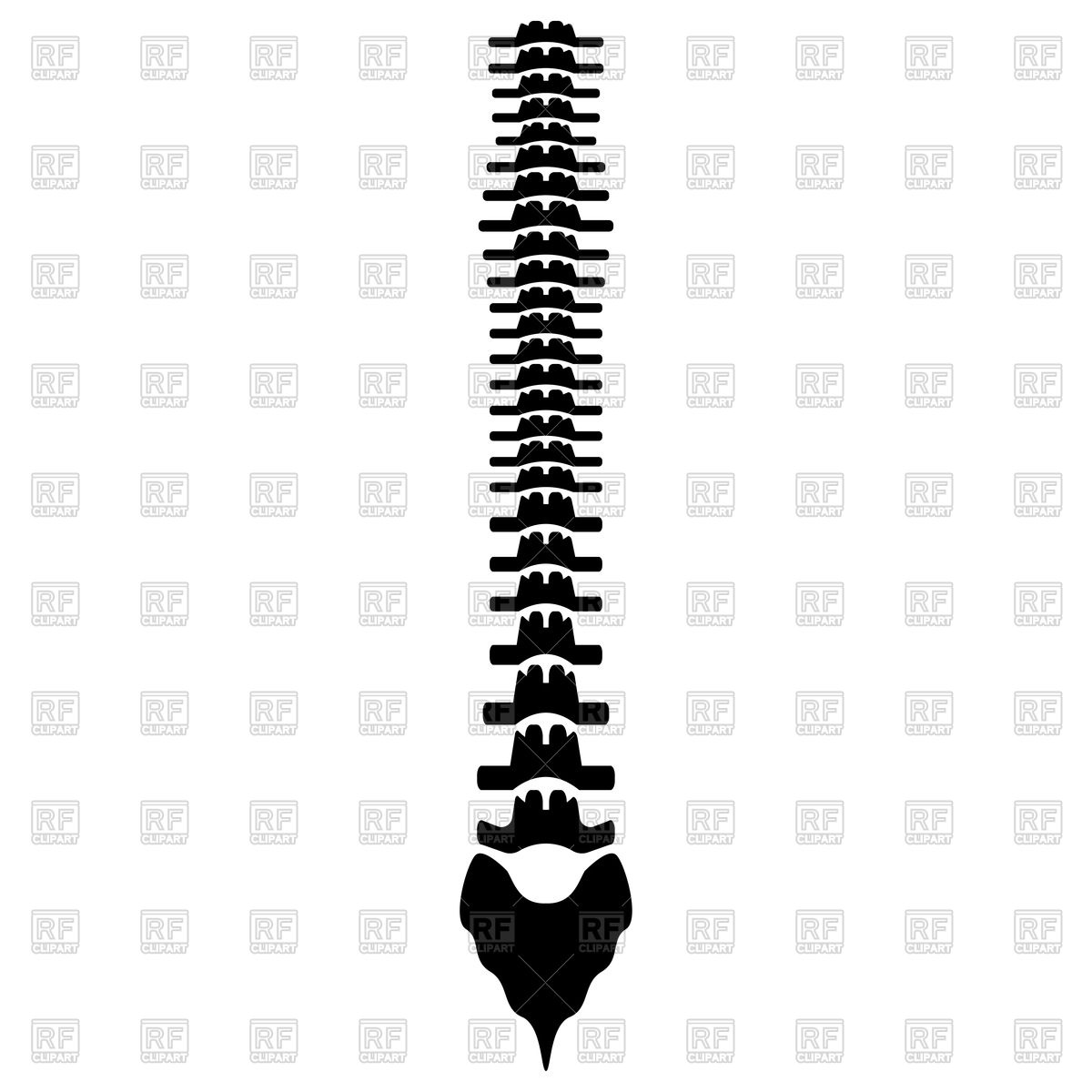1200x1200 Human Spine Black Color Icon Vector Image Of Healthcare, Medical