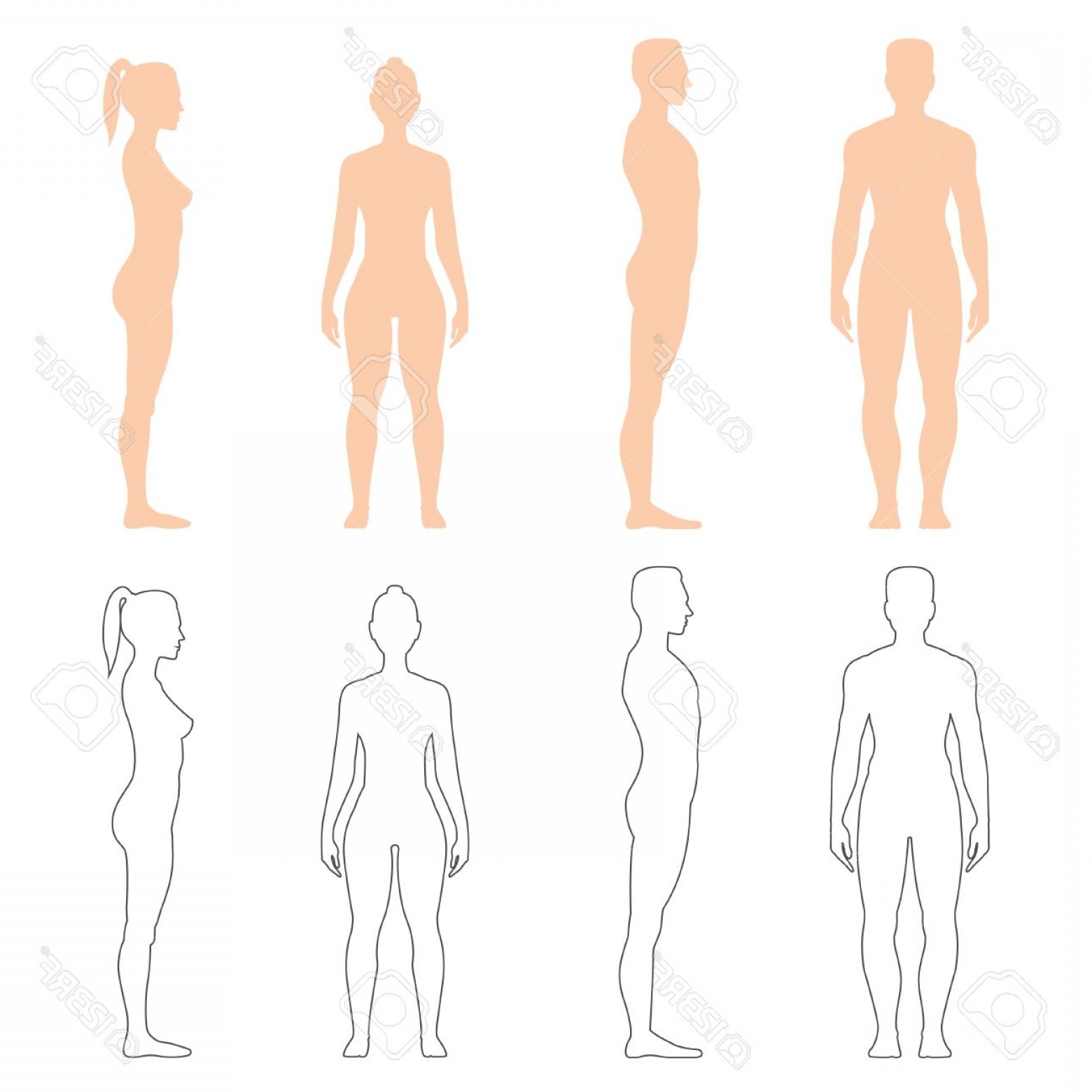 Human Outline Vector at Vectorified.com | Collection of Human Outline ...