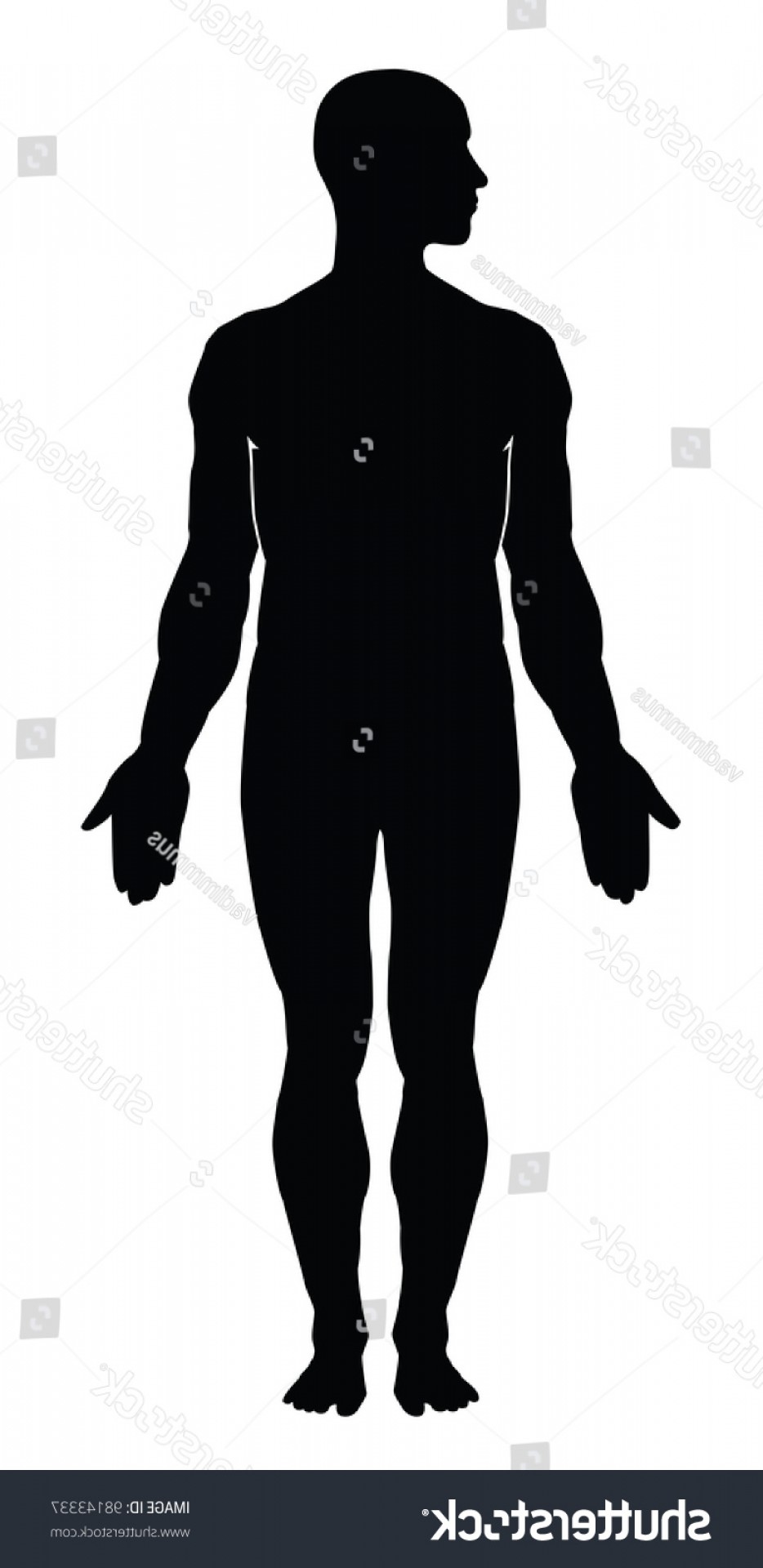 Human Outline Vector at Vectorified.com | Collection of Human Outline ...