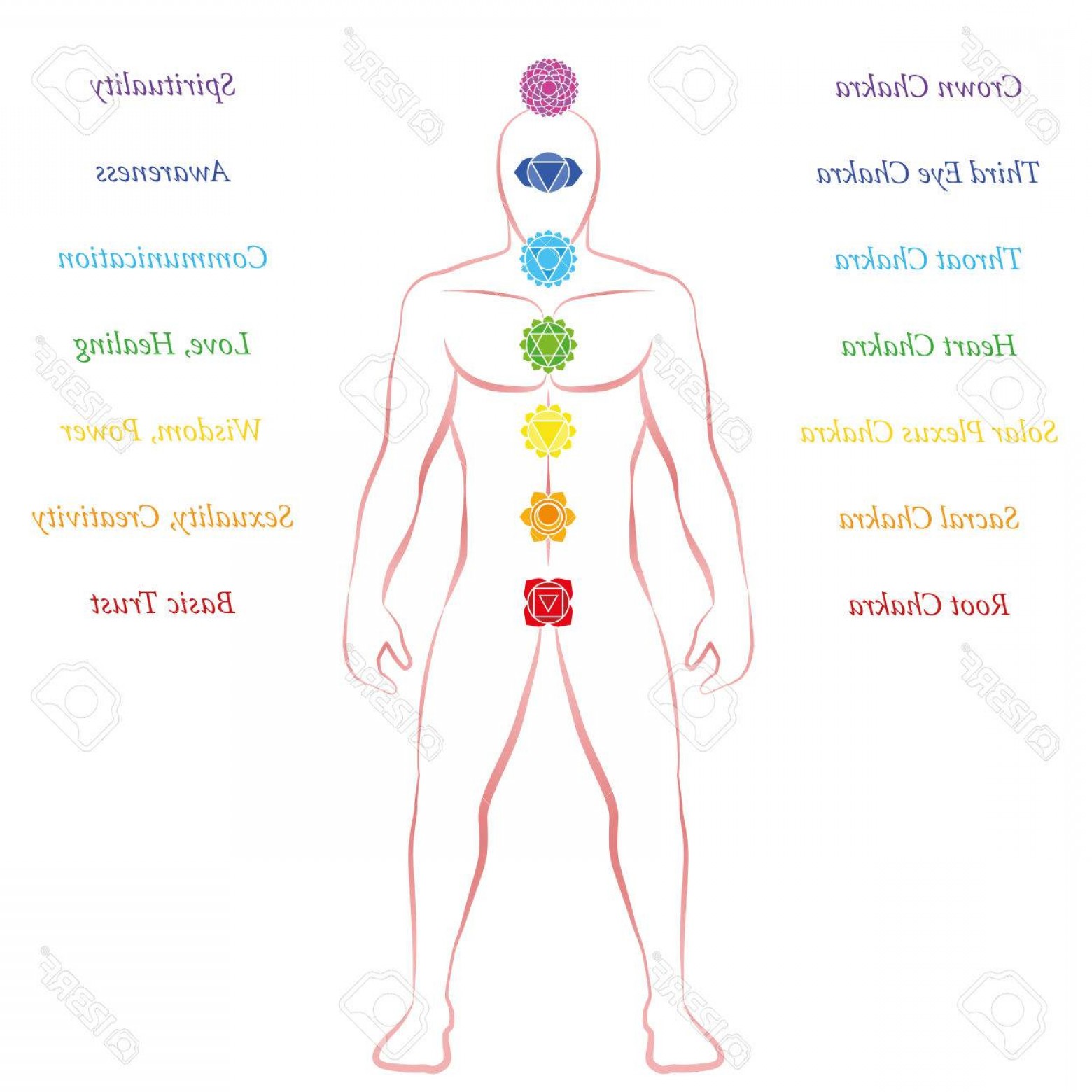 1560x1560 Human Body Outline With Name Chakras Names And Meanings Male Body