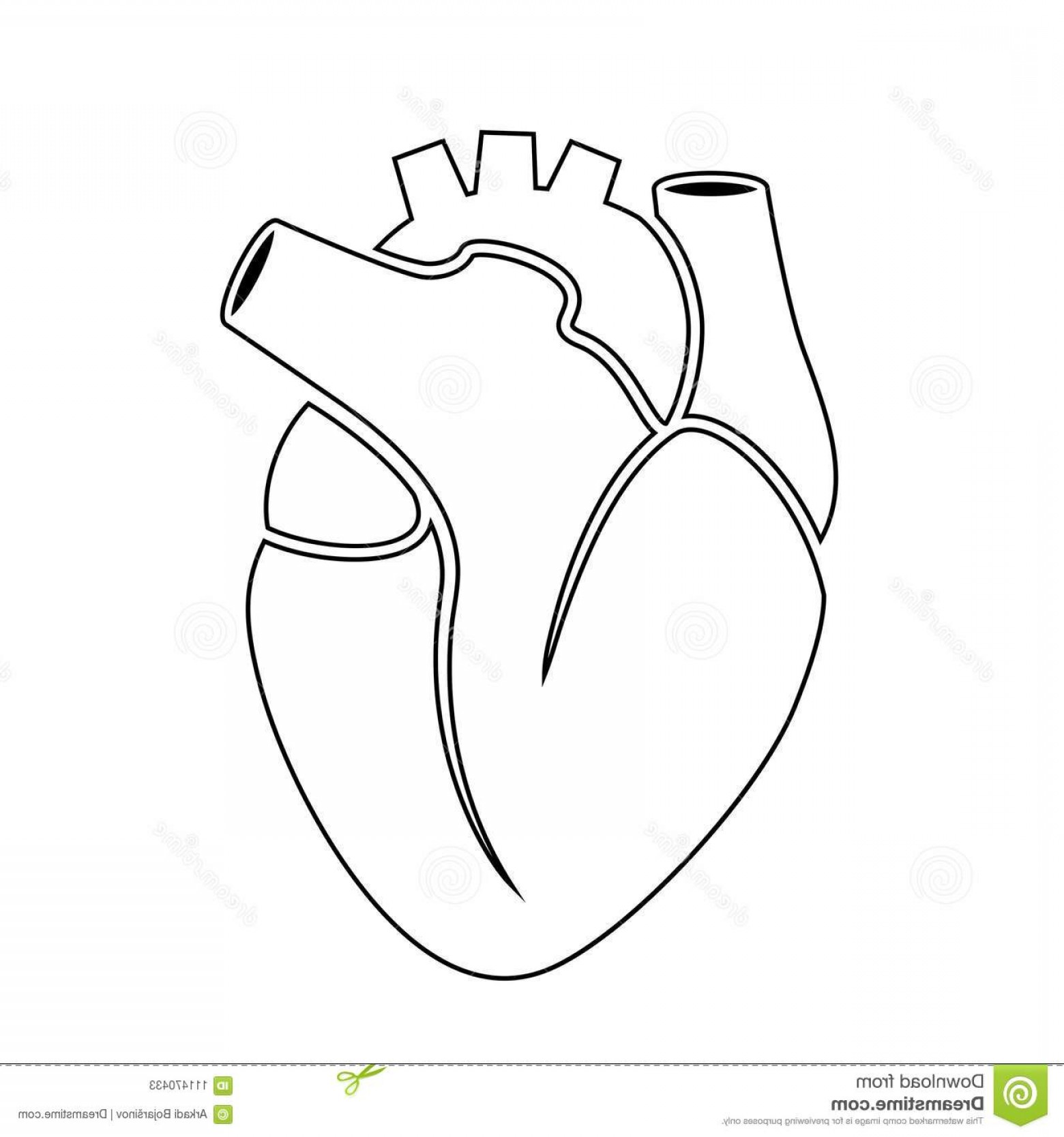 1560x1668 Human Outline Vector Geekchicpro