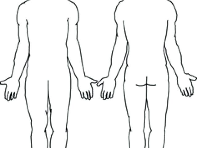 640x480 Human Body Outlines