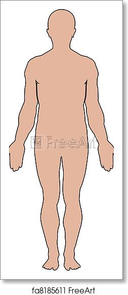 253x581 Free Art Print Of Human Body Human Body Outline Vector Freeart