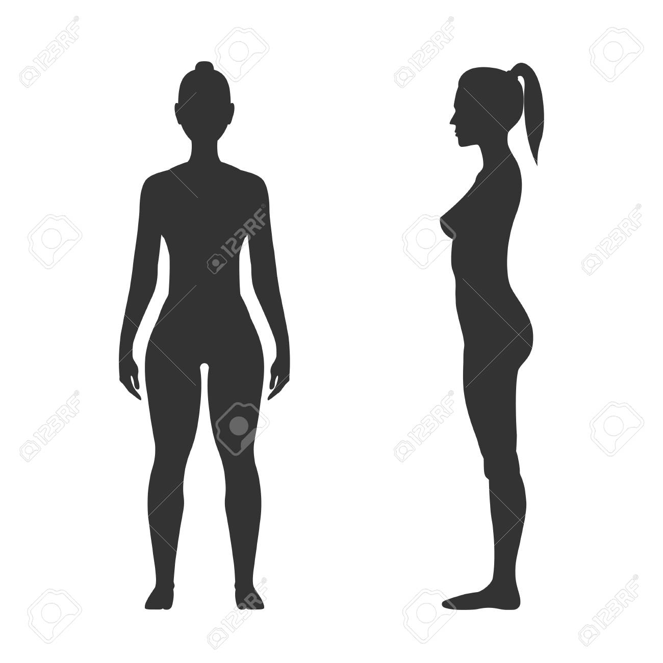 1300x1300 Huge Collection Of 'human Body Silhouette Vector' Download More