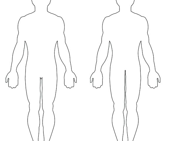 640x480 Human Body Outline Stock Vector Illustration And Royalty Free