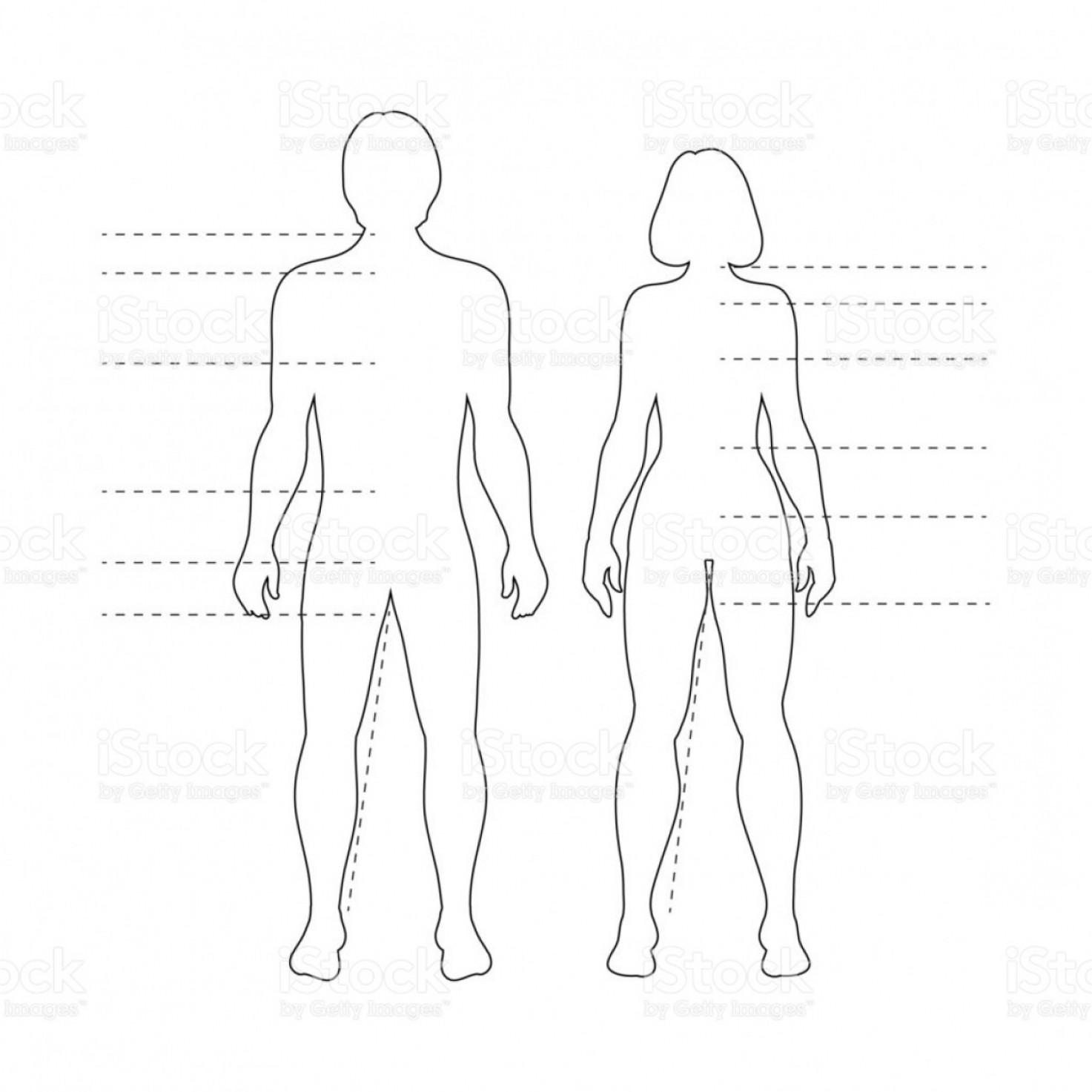 1473x1473 Human Body Outline Vector Lamaison