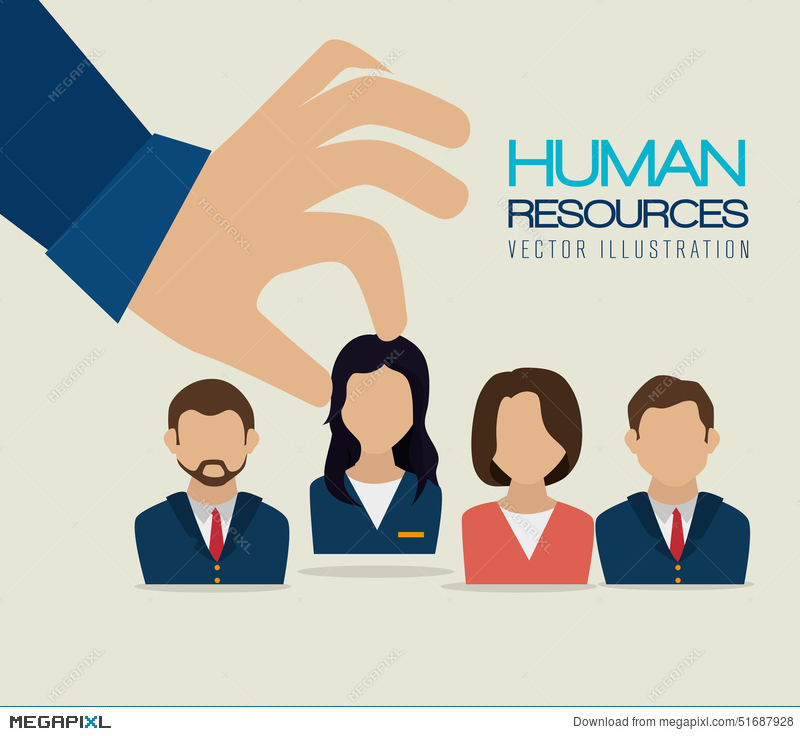 Human Resources, Vector Illustration Illustration 800x736 Human Resources, Vector Illustration Illustration