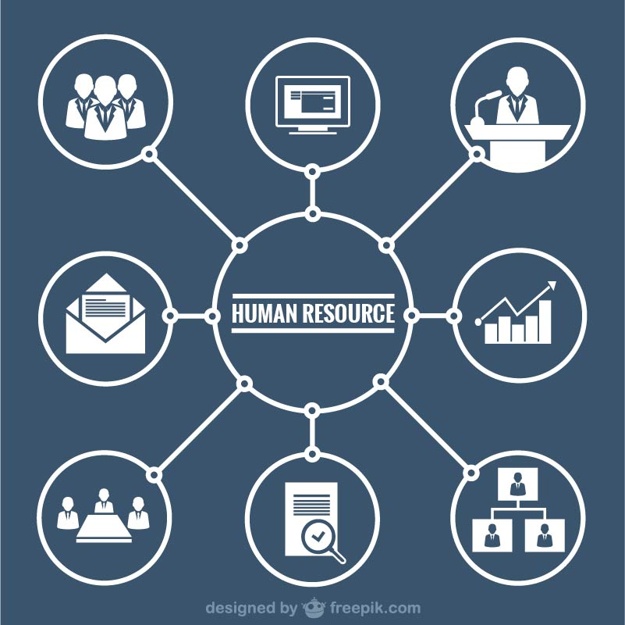 Human Resources Graphic Vector Free Download 625x625 Human Resources Graphic Vector Free Download