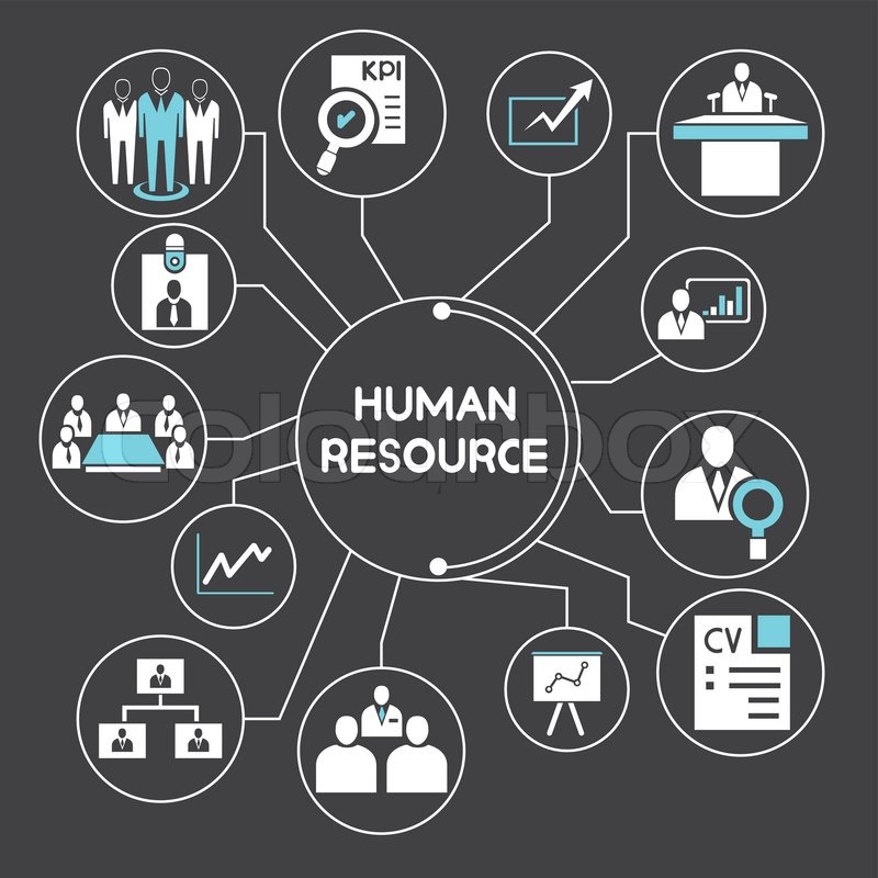 Business And Human Resource Management Stock Vector Colourbox 800x800 Business And Human Resource Management Stock Vector Colourbox
