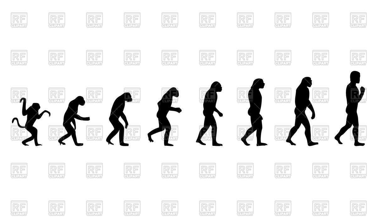 Evolution From Monkey To Human Vector Image Of Silhouettes 1200x692 Evolution From Monkey To Human Vector Image Of Silhouettes