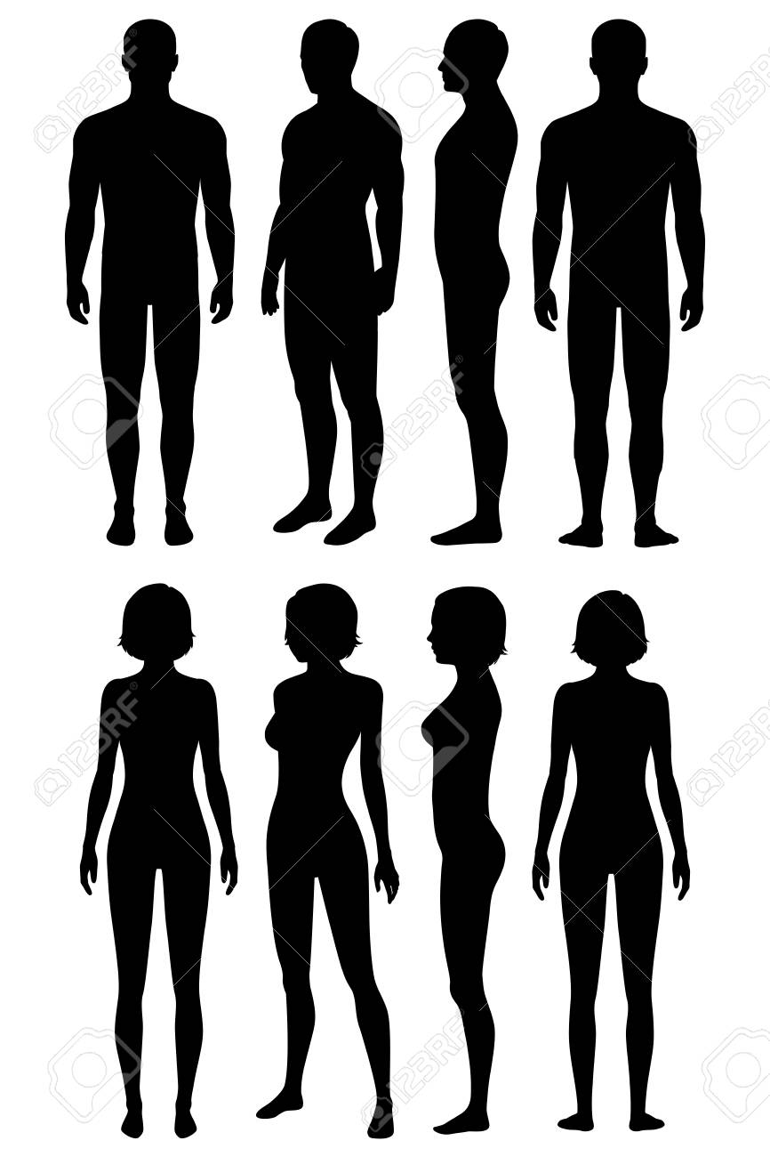 Huge Collection Of 'human Body Silhouette Free' Download More 866x1300 Huge Collection Of 'human Body Silhouette Free' Download More