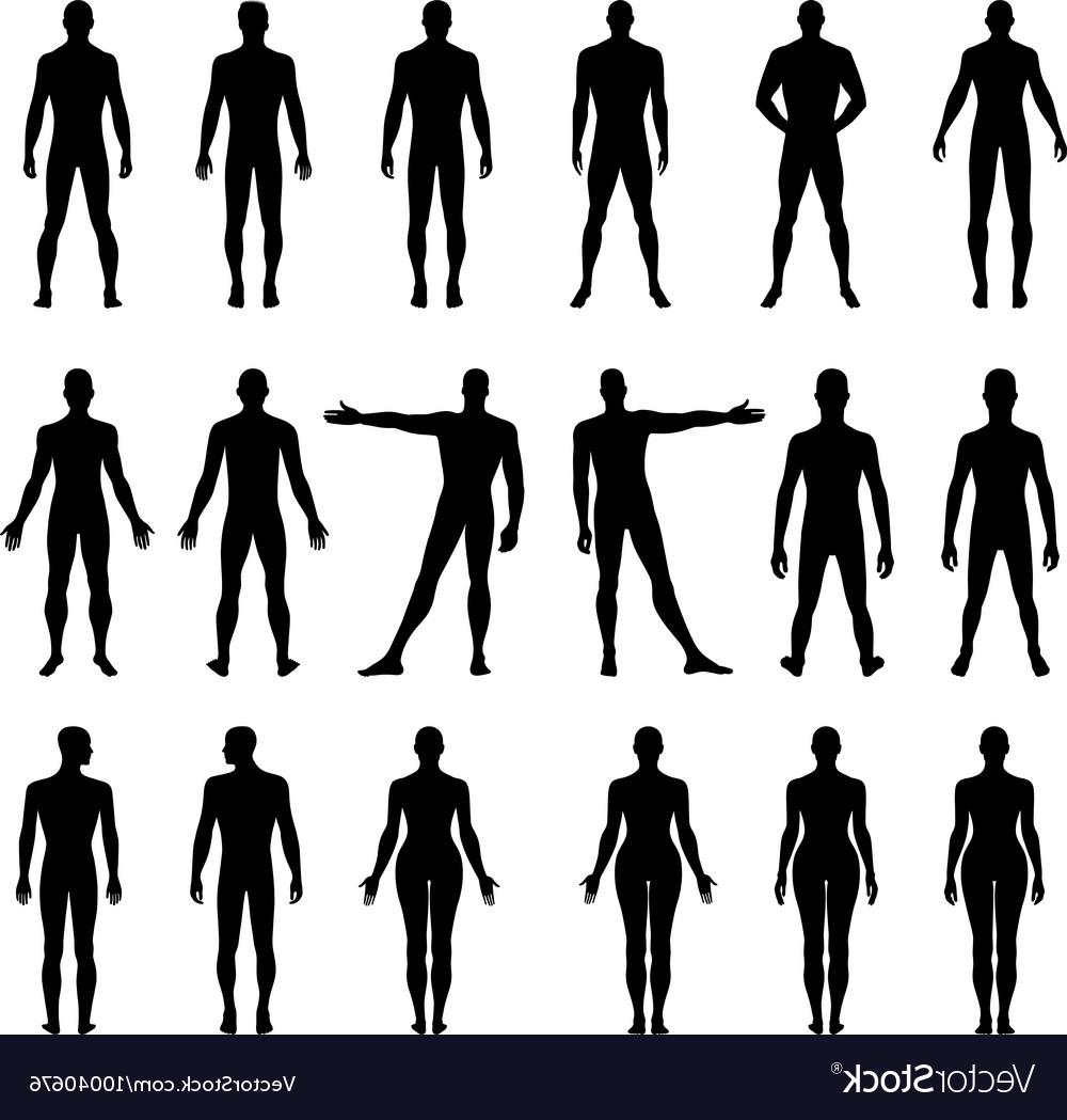 1000x1049 Hd Human Vector Silhouette Drawing Free Vector Art, Images