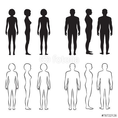 500x500 Human Silhouette Vector