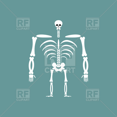 399x400 Human Skeleton Isolated Vector Image Of Healthcare, Medical