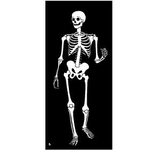300x300 Skeleton Vector Image Free Vectors Ui Download