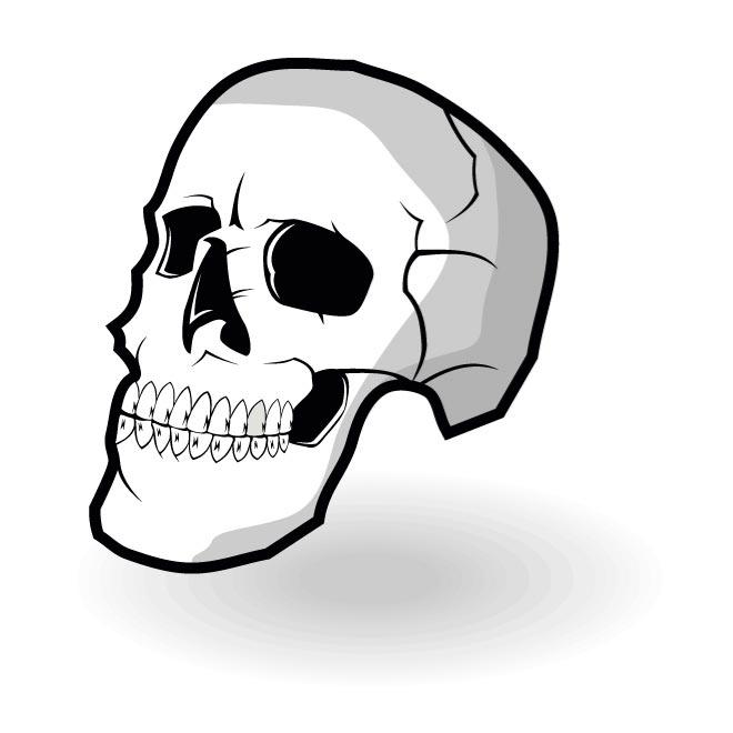 660x660 Human Skull Vector Graphics