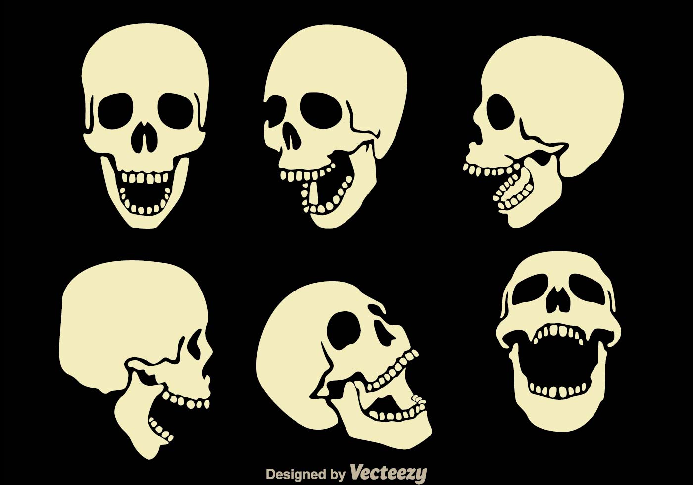 1400x980 Human Skull Free Vector Art
