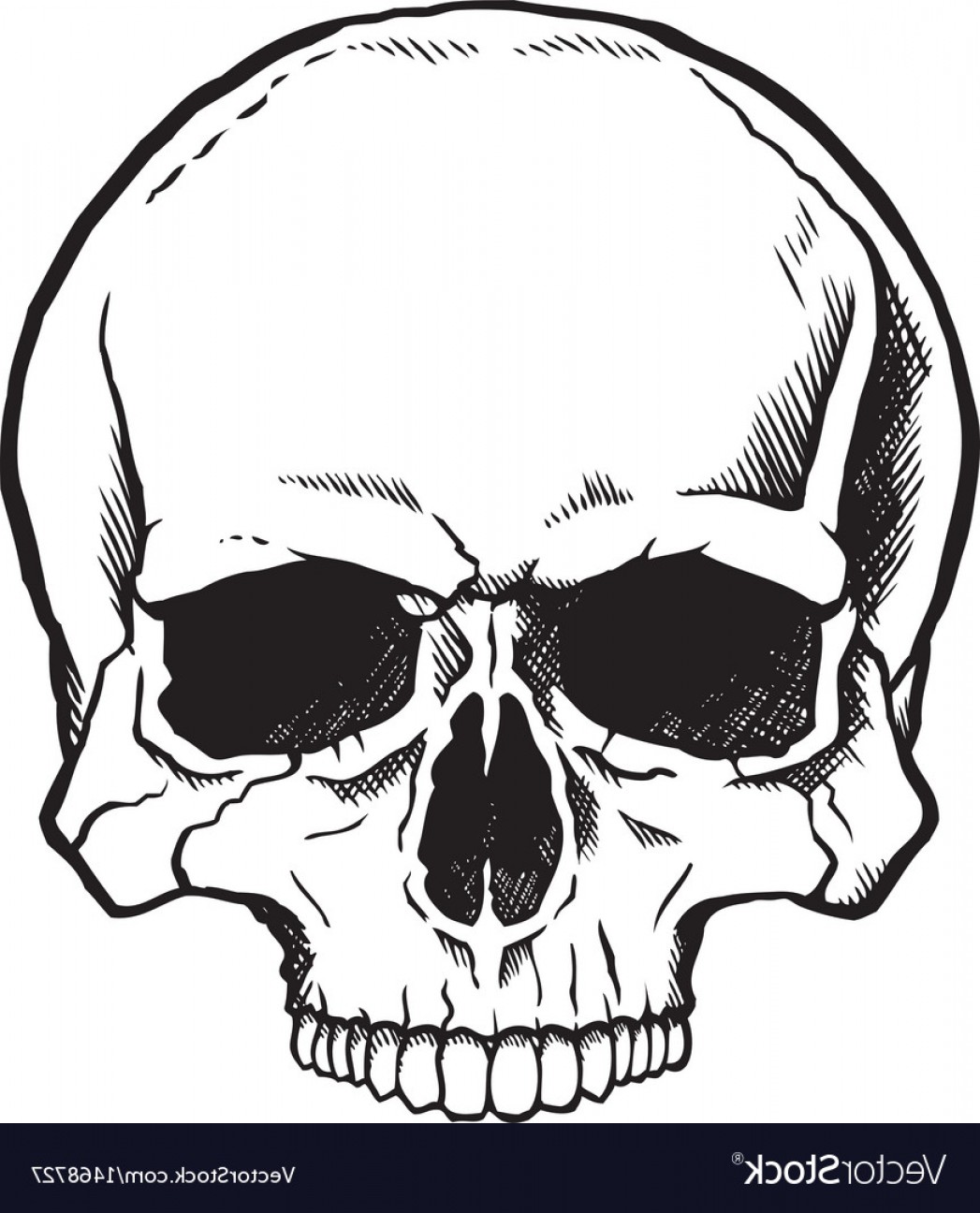 1047x1296 Black And White Human Skull Vector Cqrecords