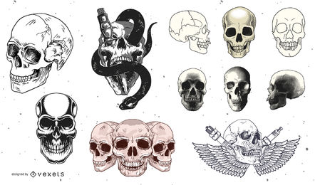 442x260 Human Skull Vector Graphics To Download