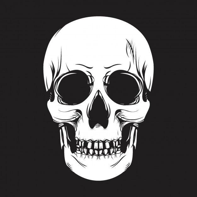 626x626 Human Skull Vector Vector Premium Download