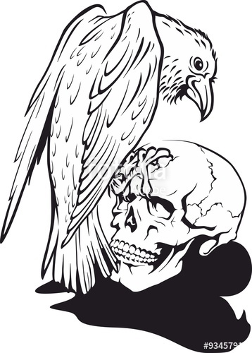 358x500 Raven Sitting On Human Skull Vector Illustration Tattoo Style