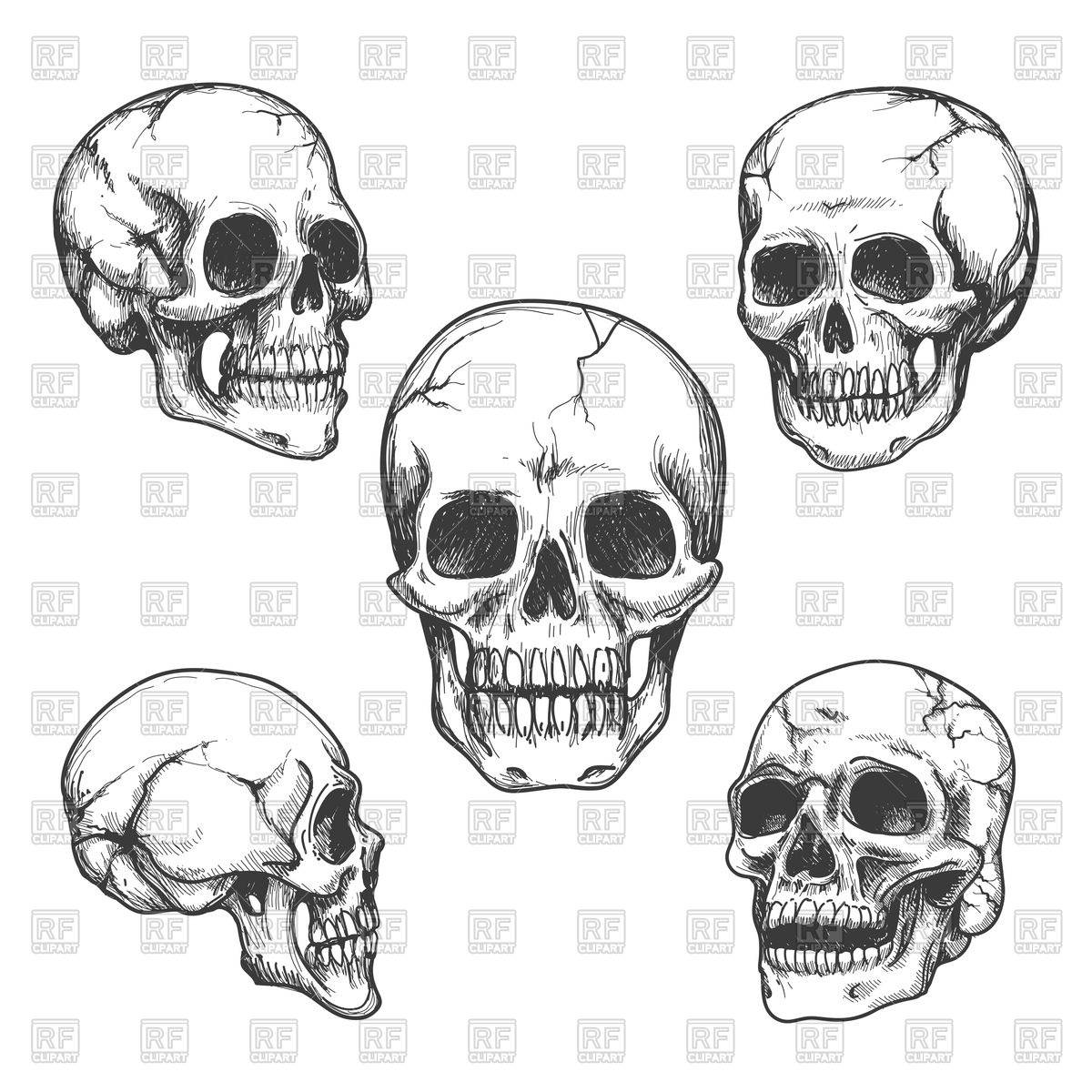 1200x1200 Set Of Old Human Skulls Vector Image Of Objects Vectortatu