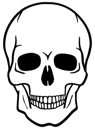 334x450 Black And White Human Skull