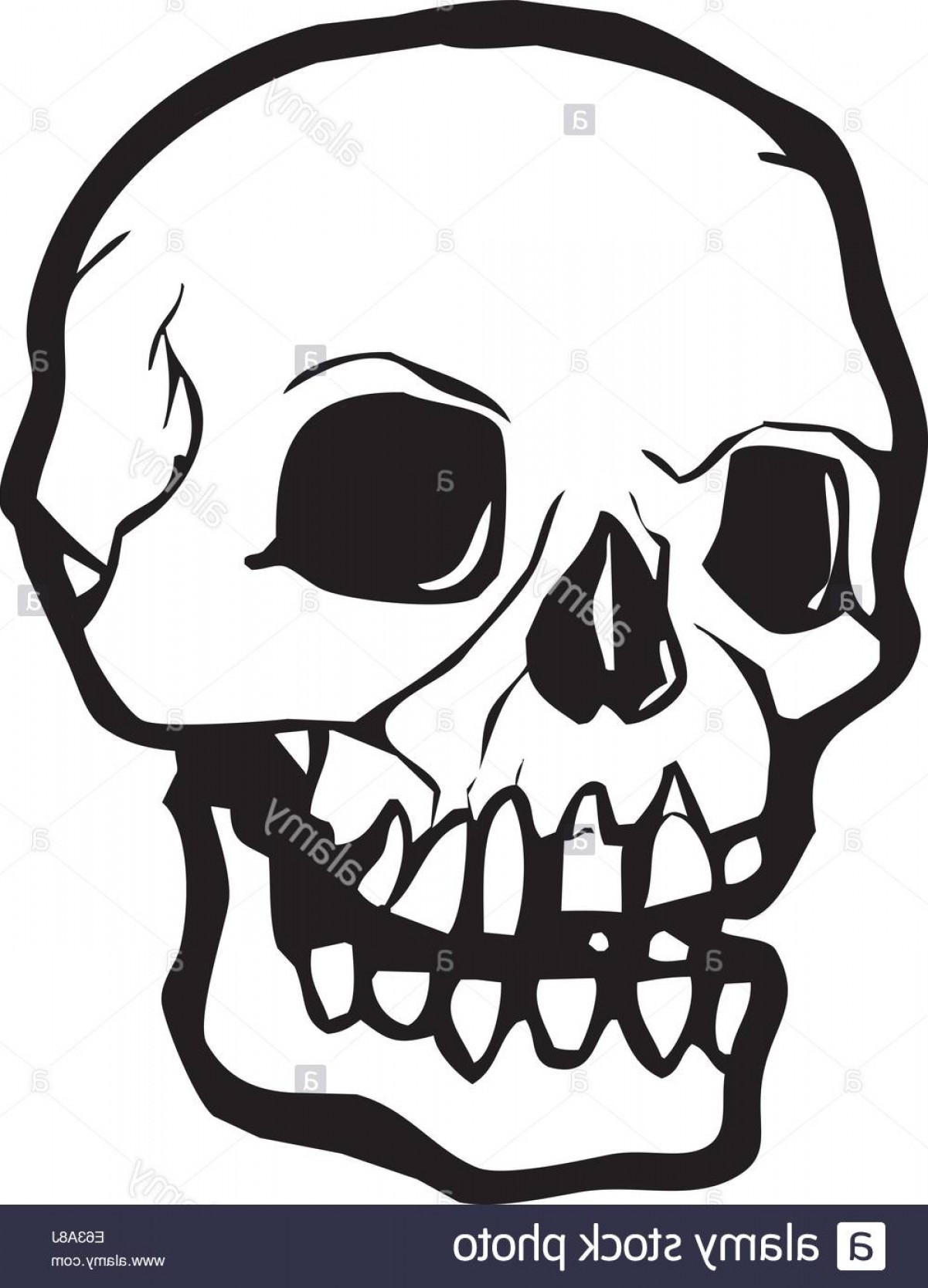 1201x1668 Simple Skull Vector Black Boozeworthy