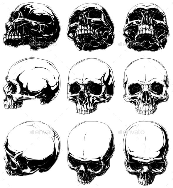 590x641 Vector Set Of Realistic Horror Detalied Graphic Black And White