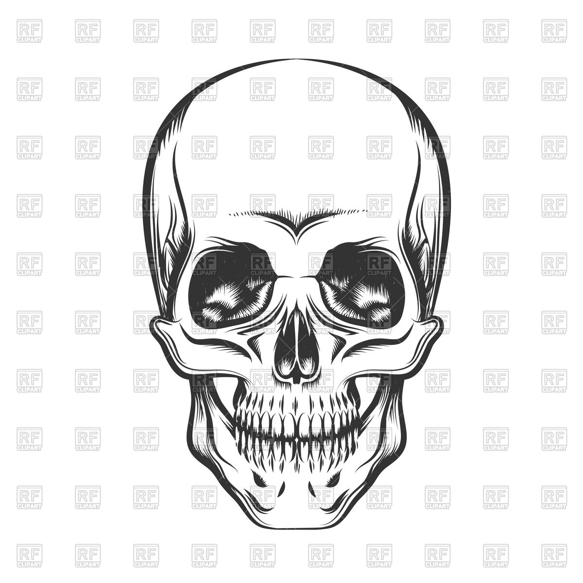 1200x1200 Black And White Human Skull Vector Image Of People