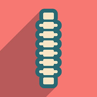 Human Spine Vector