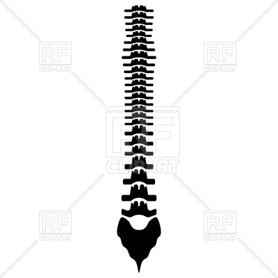 400x400 Human Spine Black Color Icon Vector Image Of Healthcare, Medical