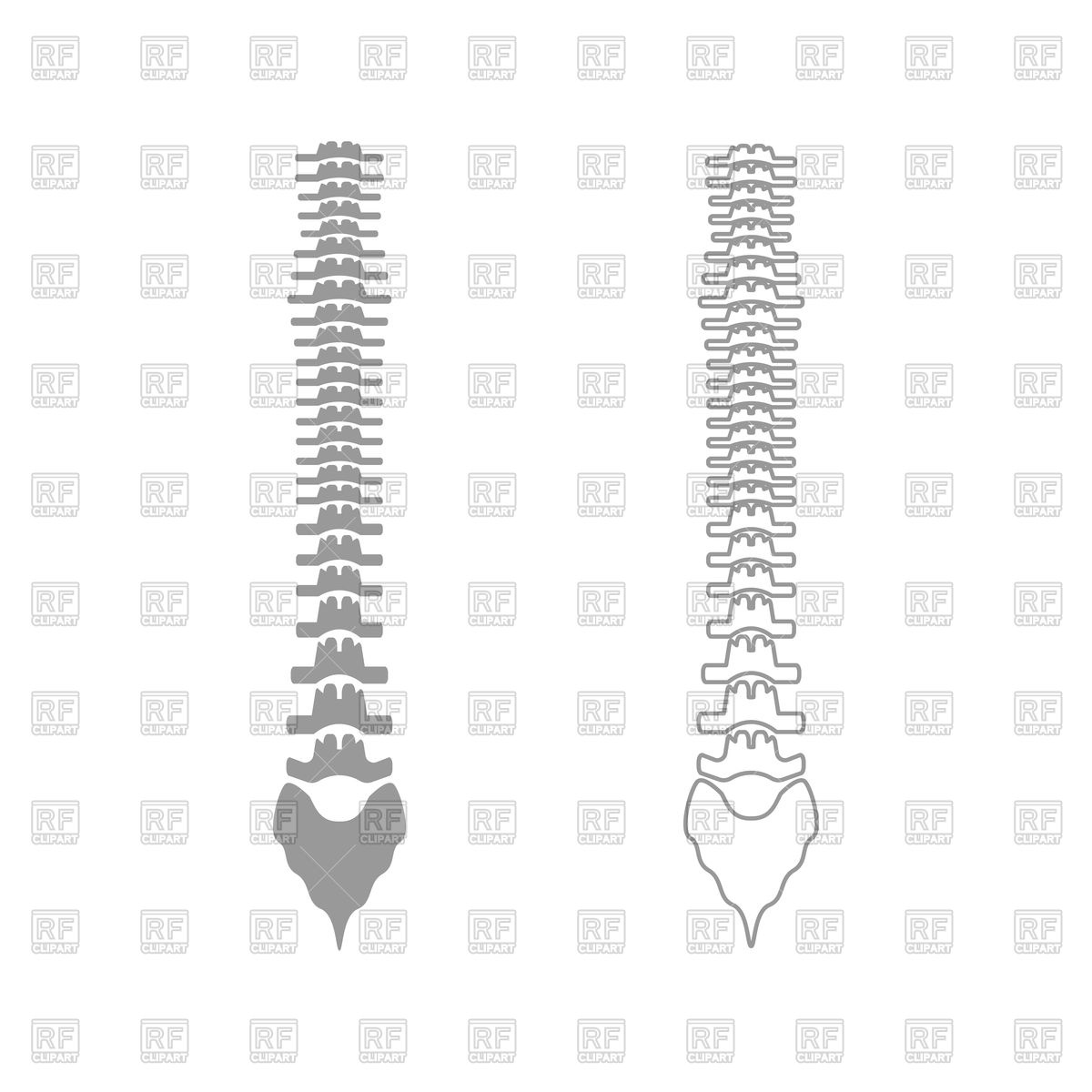 1200x1200 Human Spine Grey Set Icon Vector Image Of Healthcare, Medical