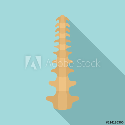 500x500 Human Spine Icon Flat Illustration Of Human Spine Vector Icon