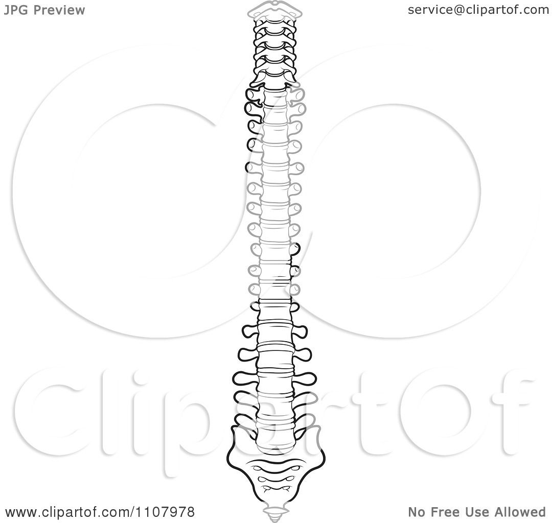 1080x1024 Clipart Black And White Human Spine